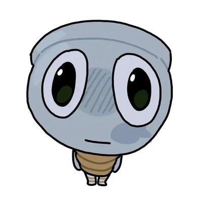 Finn 
