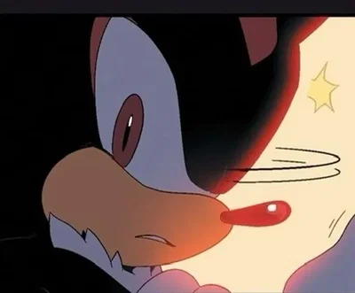 Shadow The Hedgehog