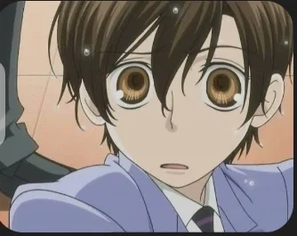 Ouran Highschool Host Club 