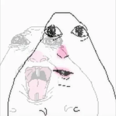 Test test