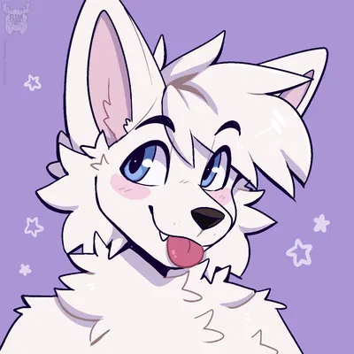 🐾🌸Magnolia Stella Wolf🌸🐾