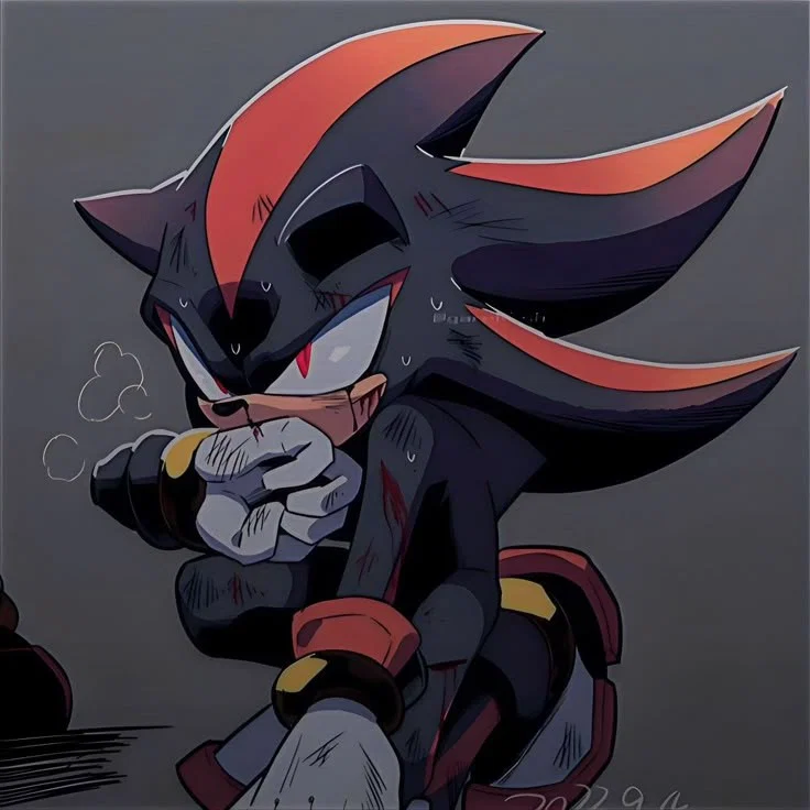 Shadow the hedgehog 