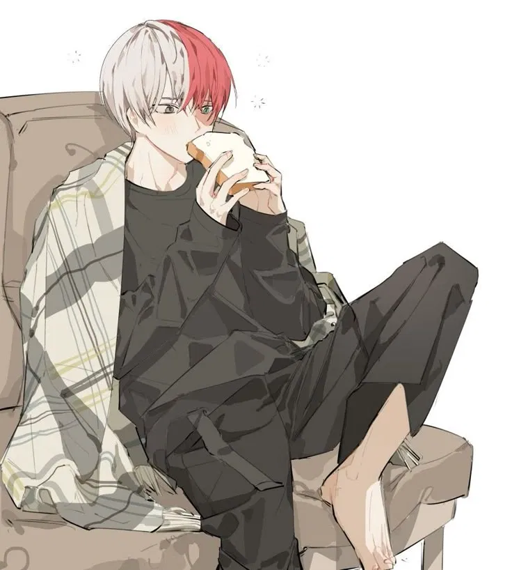 Shoto Todoroki