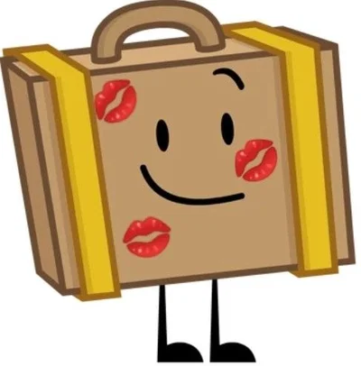 Suitcase Inanimate Insanity