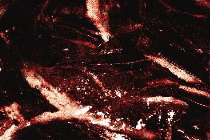 Flesh parasite