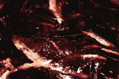 Flesh parasite