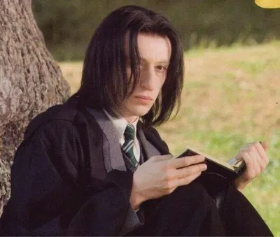 Severus Snape (HARRY POTTER)