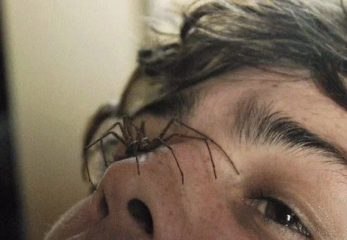 Peter Parker | Molting | The Darkest Days