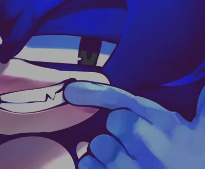 💋. SONIC || Hound Dog.