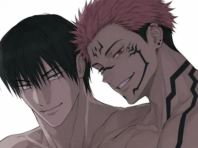 Toji and Sukuna