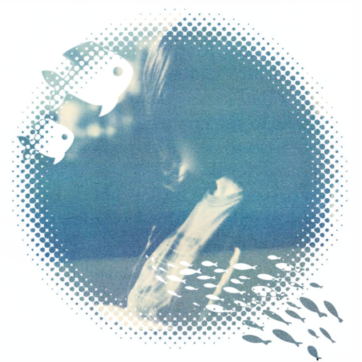 ❀✿Ben Boyd✿❀