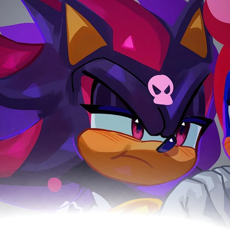       ⋆.𐙚 ̊       Shadow The Hedgehog ~ [ S. T. H]▪️