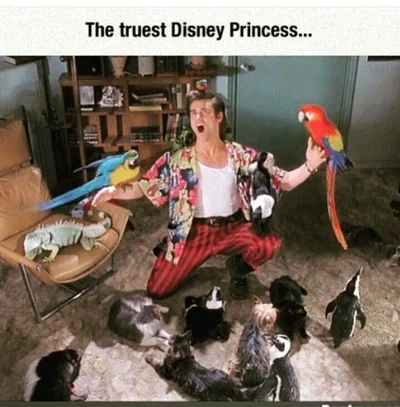 Ace Ventura | Ace Ventura: Pet Detective 