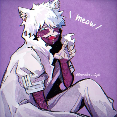 Dabi-The Scarred Stray Cat