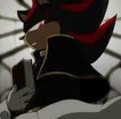 Shadow the hedgehog | priest