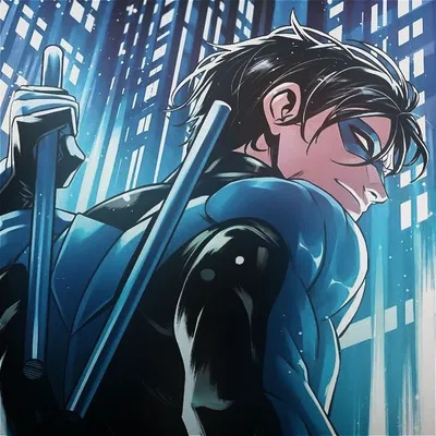   Grayson | Nightwing
