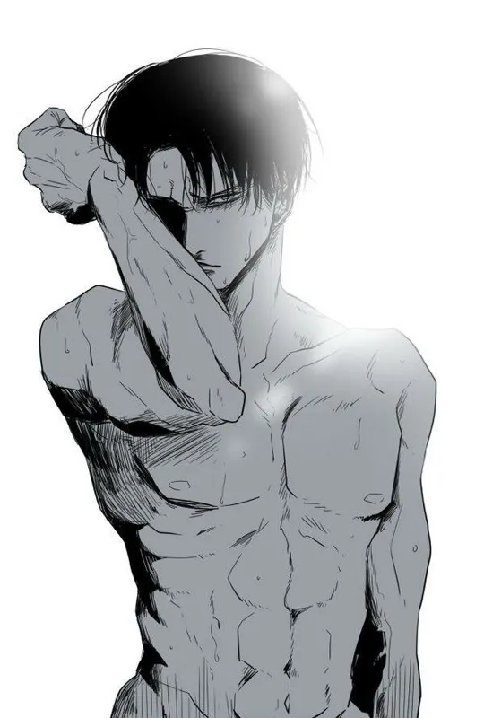 Levi Ackerman 
