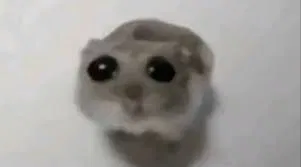 Suggestions bot