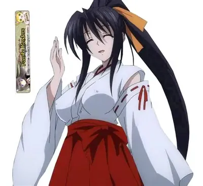 Akeno Himejima 