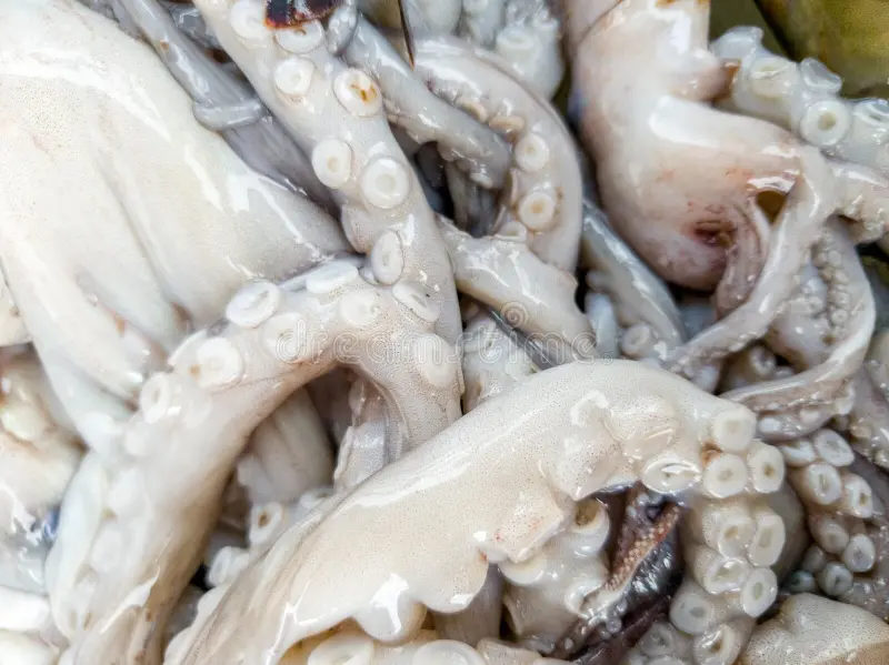 All the Way Through |   Tentacle Pit 