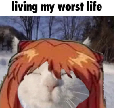 Am I dead or alive? 