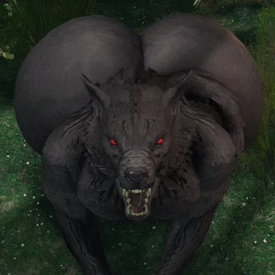 Remus - Shy Beast