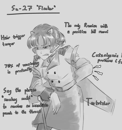 Su-27 Flanker (Human)
