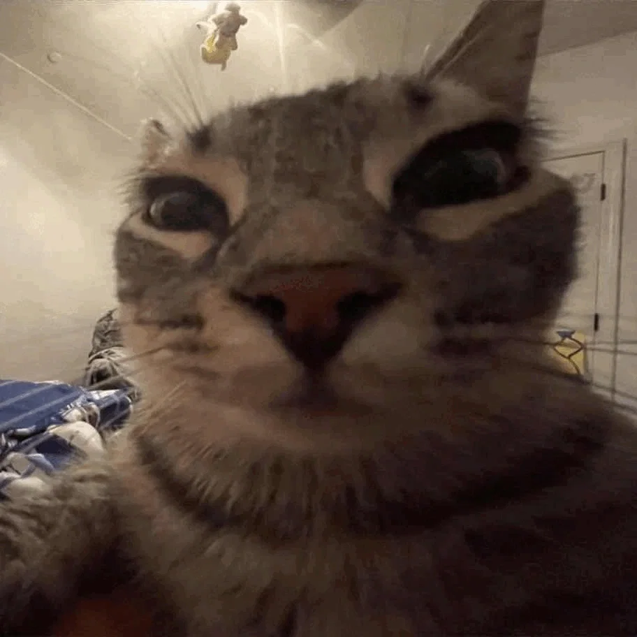Hey