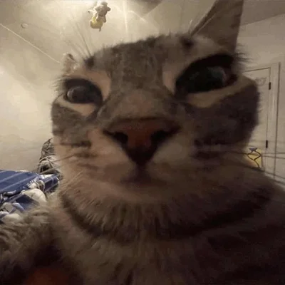 Hey