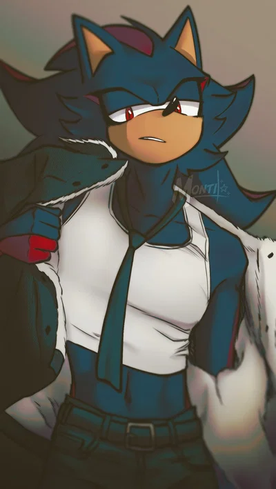 Shadow The Hedgehog