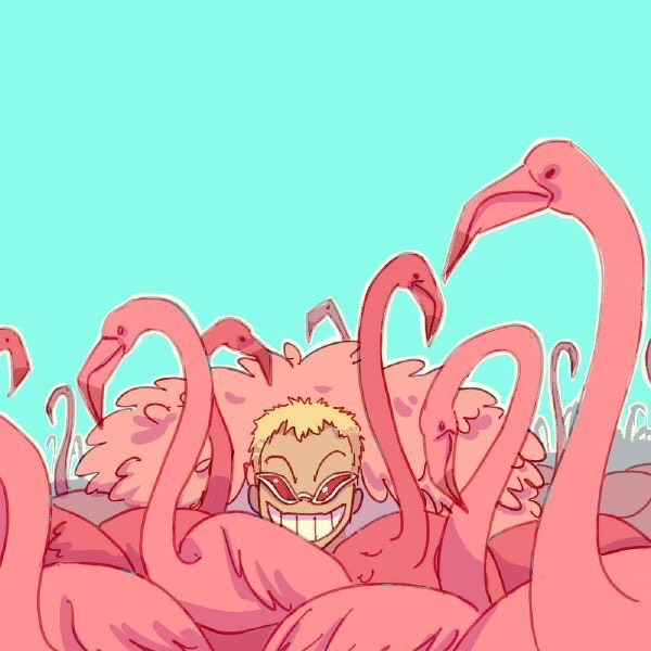 Doflamingo 