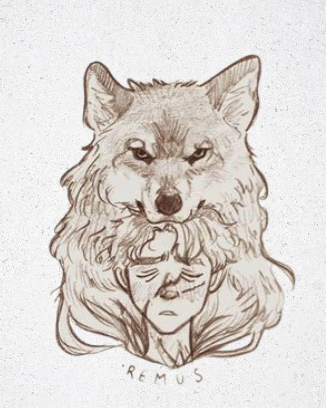 Remus Lupin: The Stag Night