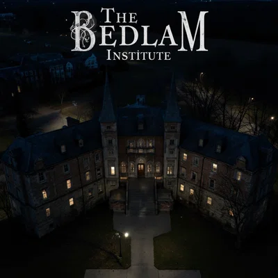 The Bedlam Institute