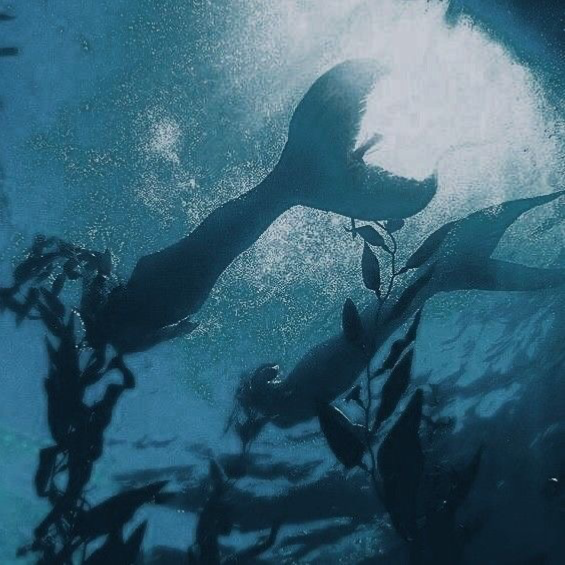 Veridia Atoll - Mermaids 