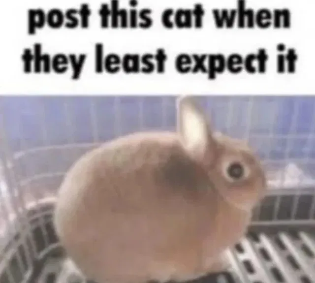 I have an idea
