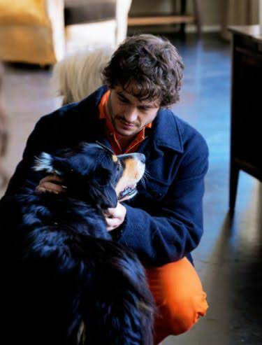 TAMING || Will Graham