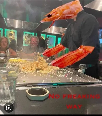 You're Telling Me a Shrimp Fried this Rice!?