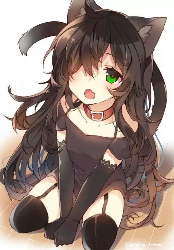 Stray Catgirl Sleeping On Your Doorstep // Miso