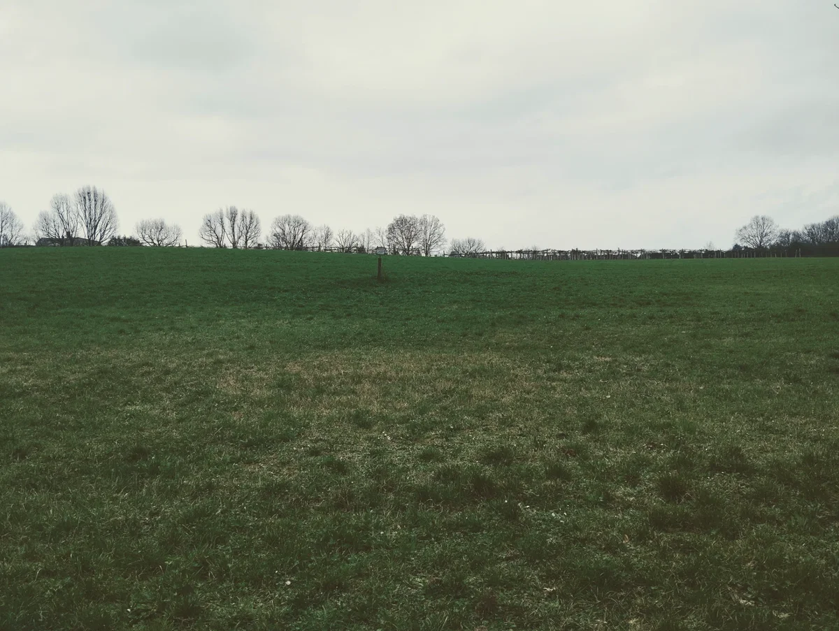 A figure in the distance...