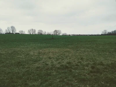 A figure in the distance...