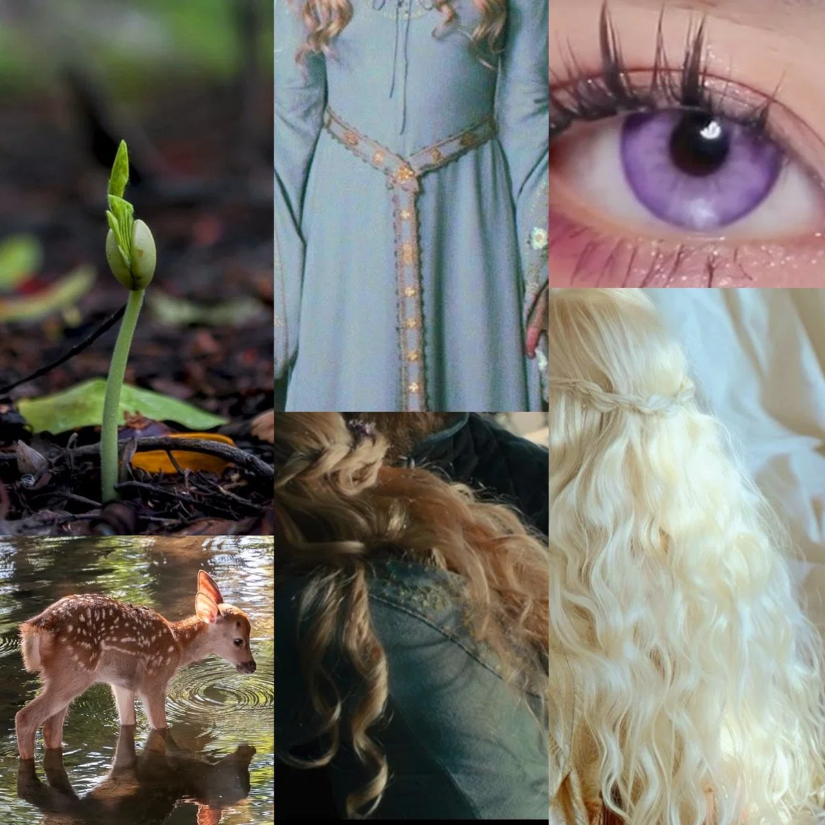 Selaenya Targaryen
