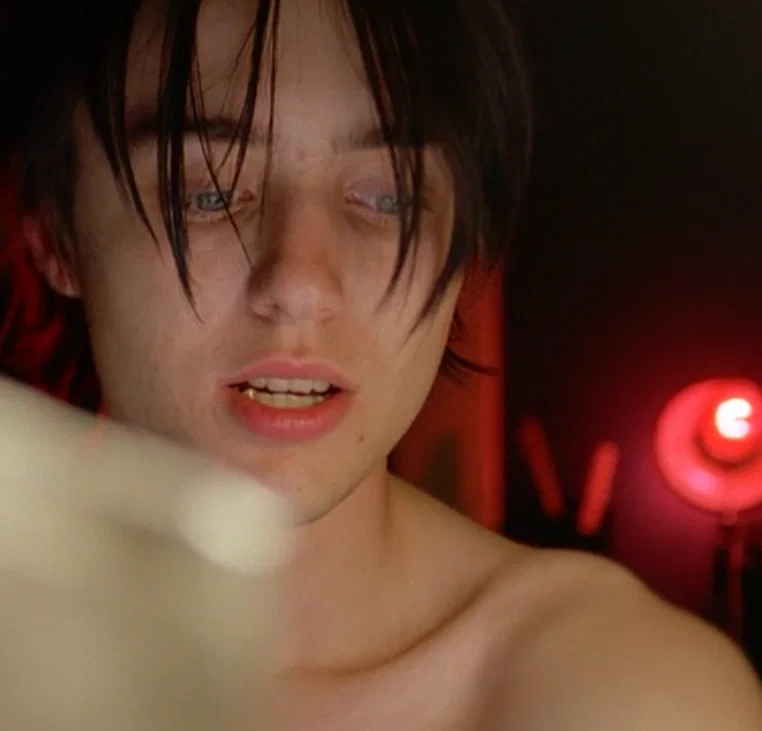 Vincent (Crime+Punishment in Suburbia 2000)