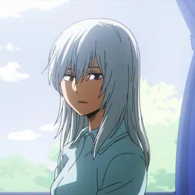 Rei Todoroki