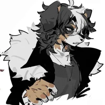 Jaden | OLD BULLY