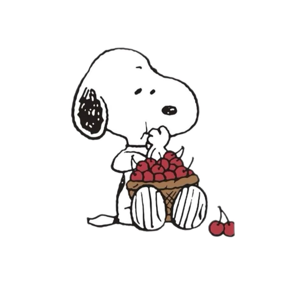 Bot Requests!