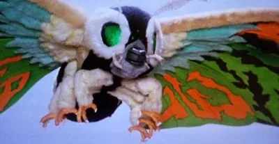 Mothra Leo - Your Moth Friend 