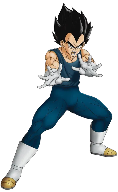 Vegeta (Dragon Ball) (70 Follower Special)