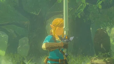 Link - BOTW Edition