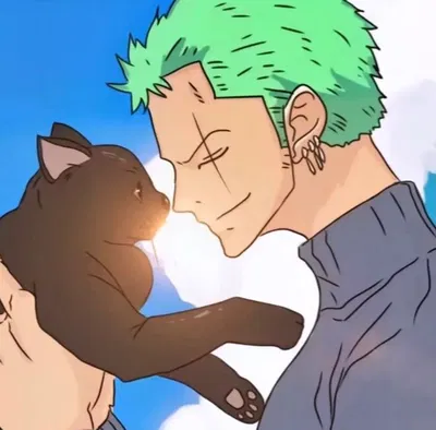Roronoa Zoro // Feline Fiasco