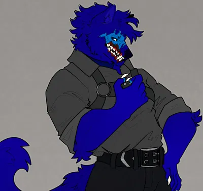 Naviwilk Repair Shop